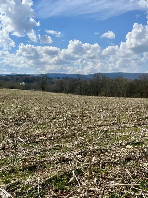 7799 E Valley Rd, Dunlap, TN 37327 photo 12