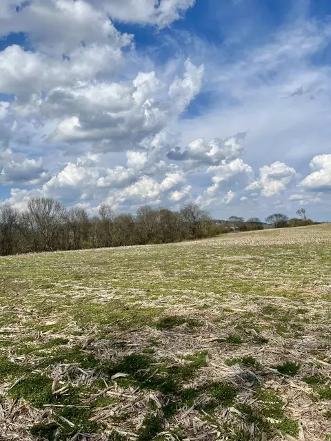 7799 E Valley Rd, Dunlap, TN 37327 photo 2