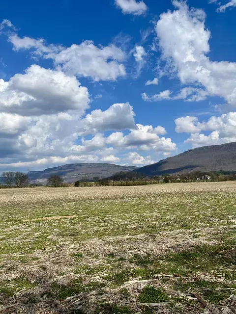 7799 E Valley Rd, Dunlap, TN 37327
