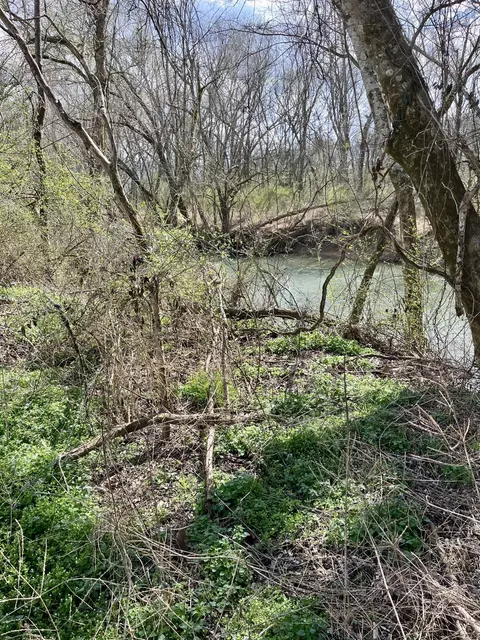 7799 E Valley Rd, Dunlap, TN 37327 photo 19