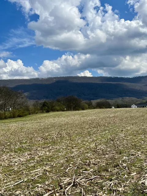 7799 E Valley Rd, Dunlap, TN 37327 photo 7
