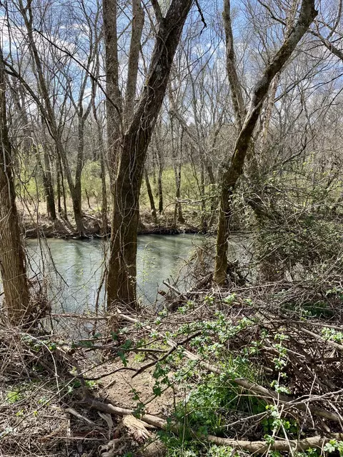 7799 E Valley Rd, Dunlap, TN 37327 photo 20