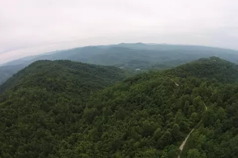 Tract 1 Straight Fork Road #TRACT 1, Huntsville, TN 37756