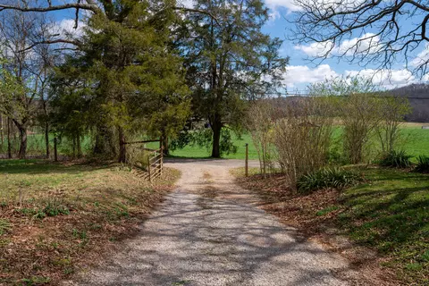 1321 Sand Mountain Rd, Ocoee, TN 37361 photo 6