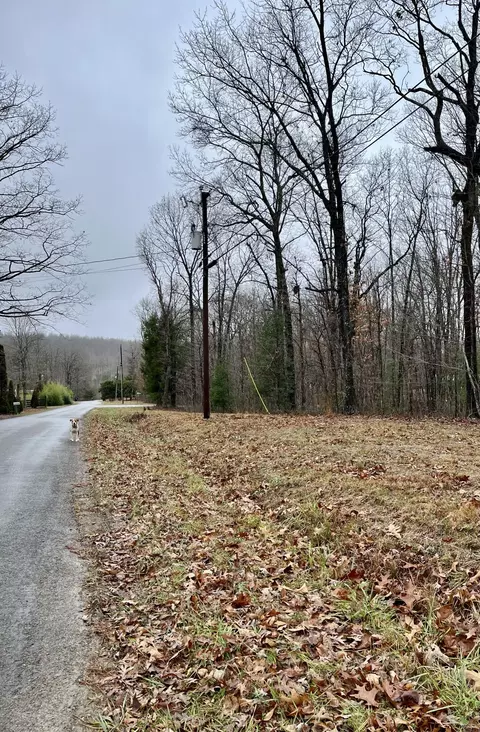 60 Laurel Dr, Dunlap, TN 37327