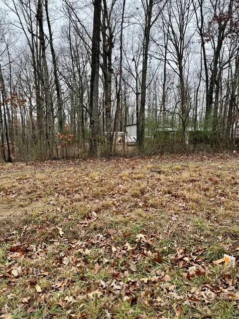 60 Laurel Dr, Dunlap, TN 37327 photo 3