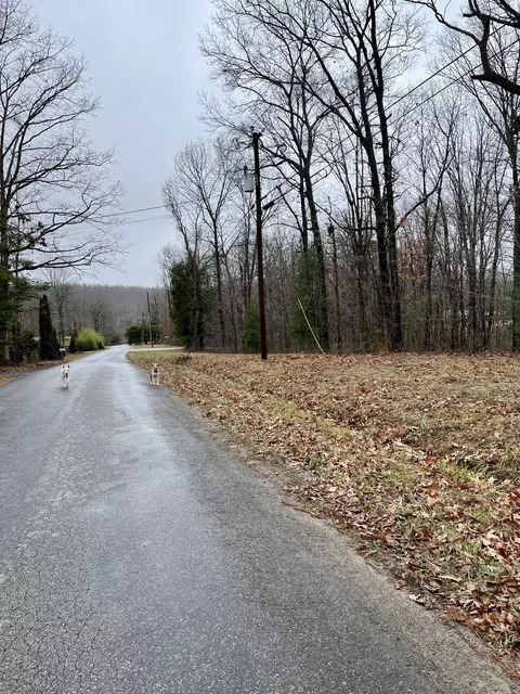 60 Laurel Dr, Dunlap, TN 37327 photo 5