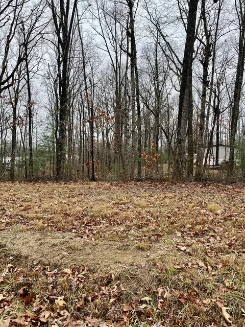 60 Laurel Dr, Dunlap, TN 37327 photo 6