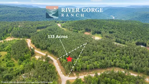 1108 Birds Eye Way, Guild, TN 37340