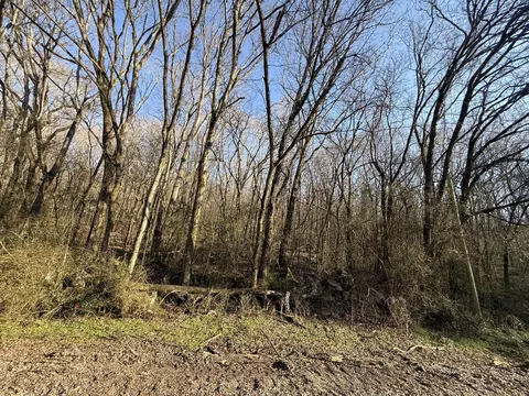 0 County Rd 91, Bryant, AL 35958