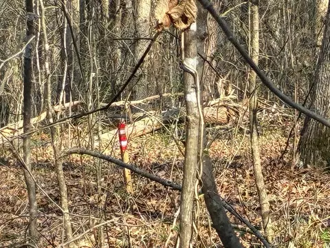 13356 Ellison Trce, Birchwood, TN 37308