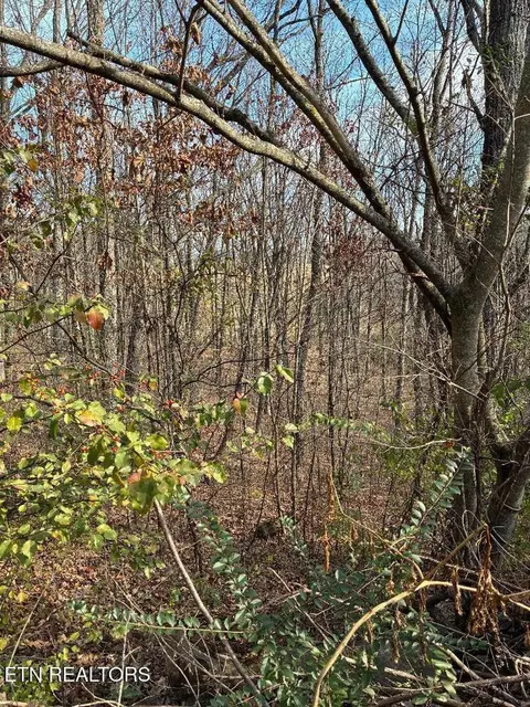 00 Poplar Drive Lot 31 Dr, Sweetwater, TN 37874