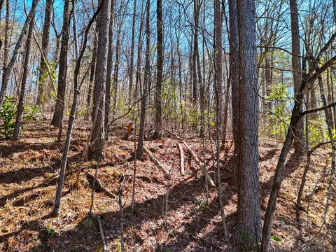 1718 Spring View Ln, Chattanooga, TN 37421 photo 5
