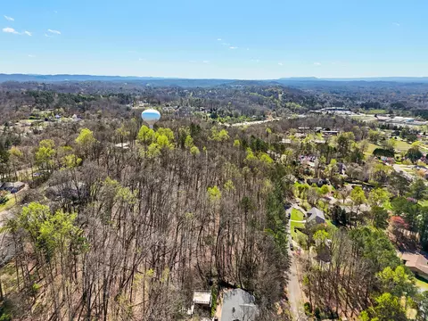 1718 Spring View Ln, Chattanooga, TN 37421 photo 13