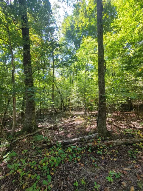 0 Fire Tower Rd, Cleveland, TN 37323