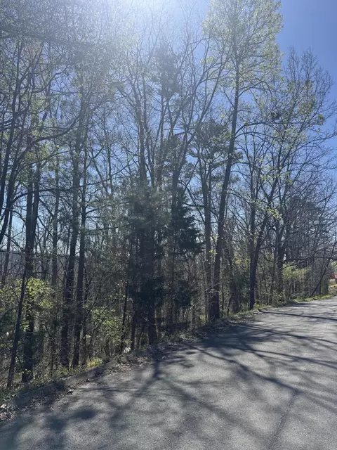 lot21 Stoney Point Cir, Rocky Face, GA 30740