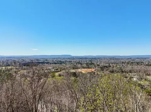 1720 Spring View Ln, Chattanooga, TN 37421 photo 14