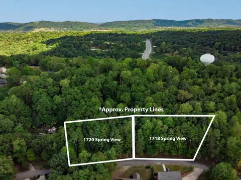 1720 Spring View Ln, Chattanooga, TN 37421 photo 5