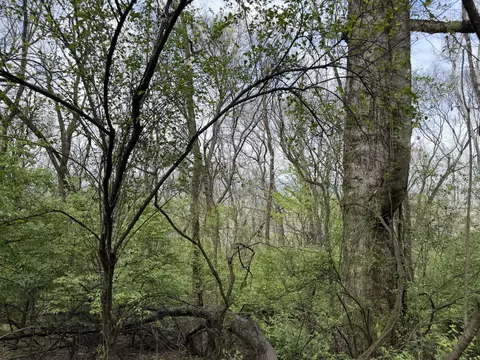 6583 Fairview Rd, Hixson, TN 37343