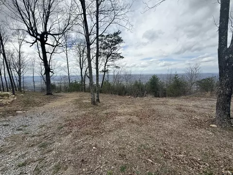 lot15 Scenic Hwy, Rising Fawn, GA 30738
