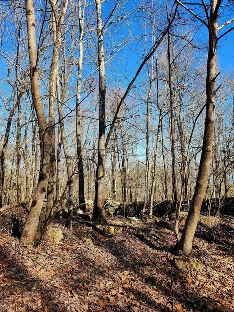 0 Scenic Dr #6, South Pittsburg, TN 37380