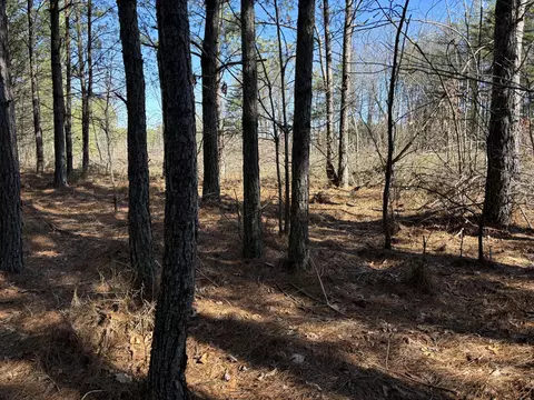 8 Fredonia Rd, Dunlap, TN 37327