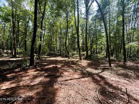 Tract 5 Pleasant Hill Road, Ten Mile, TN 37880
