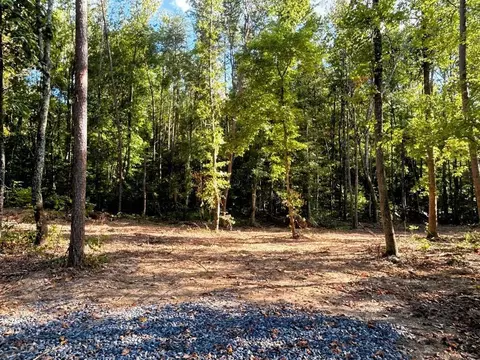 Tract 4 Pleasant Hill Road, Ten Mile, TN 37880