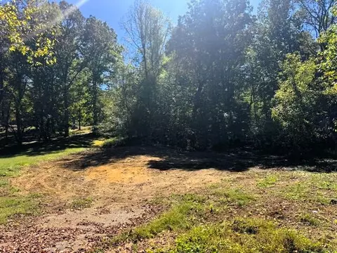 Tract 9 Pleasant Hill Road, Ten Mile, TN 37880