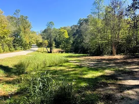 Tract 10 Pleasant Hill Road, Ten Mile, TN 37880
