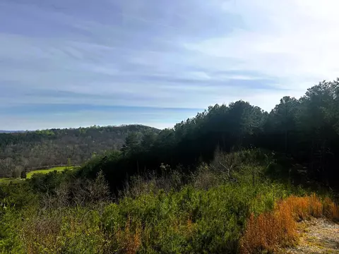 Tract 7 SW Owl Hollow Road, Mc Donald, TN 37353