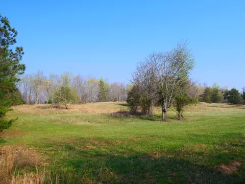 0 Daugherty Ferry Rd #0, Sale Creek, TN 37373
