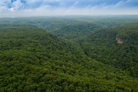 916 N Rim Dr, Coalmont, TN 37313