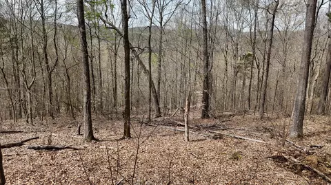 000 Geren Subdivision Ln, Decatur, TN 37322