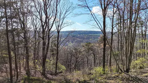 lot1350 Split Rail Way, Guild, TN 37340