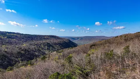 lot1350 Split Rail Way, Guild, TN 37340
