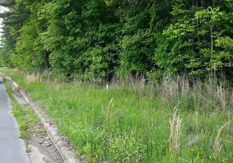 1 64 Acres County Road 155, Flat Rock, AL 35966