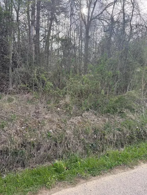 97 32 Griffith Rd, Pikeville, TN 37367