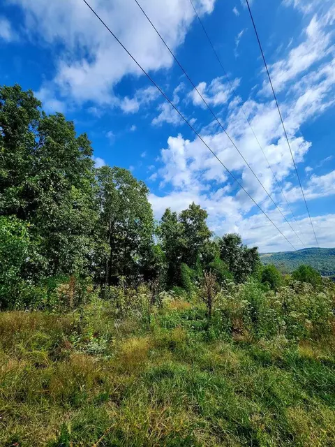 0 Browbend Dr #7, Guild, TN 37340 photo 9