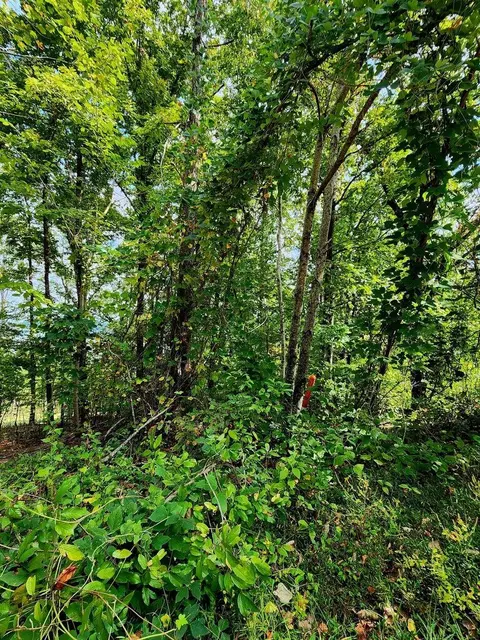 0 Browbend Dr #7, Guild, TN 37340 photo 13