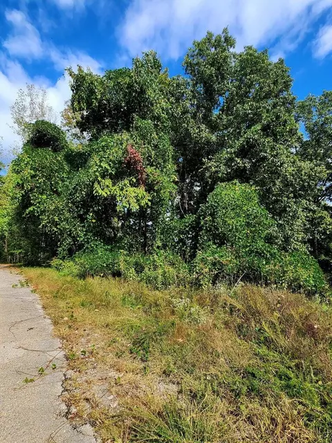 0 Browbend Dr #7, Guild, TN 37340 photo 11