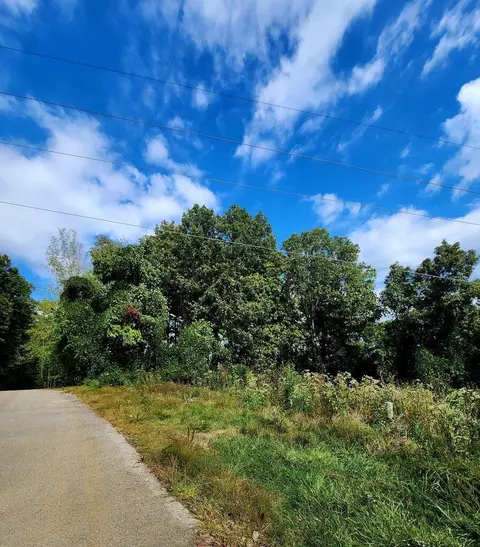 0 Browbend Dr #7, Guild, TN 37340 photo 8