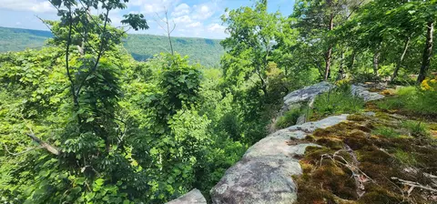 0 Roth Point Rd #5, Altamont, TN 37301