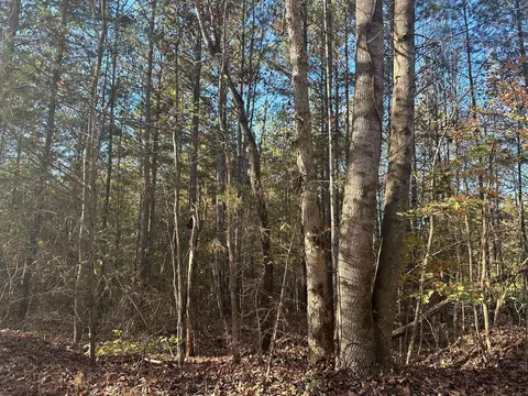 0 Redman Ln, Decatur, TN 37322