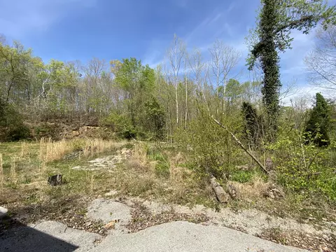 2205 Lower Cove Loop, Dayton, TN 37321 photo 9