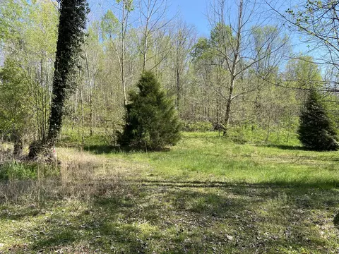 2205 Lower Cove Loop, Dayton, TN 37321 photo 5