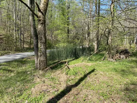 2205 Lower Cove Loop, Dayton, TN 37321 photo 6