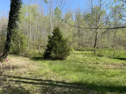 2205 Lower Cove Loop, Dayton, TN 37321