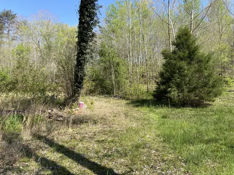 2205 Lower Cove Loop, Dayton, TN 37321 photo 2