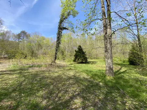 2205 Lower Cove Loop, Dayton, TN 37321 photo 10